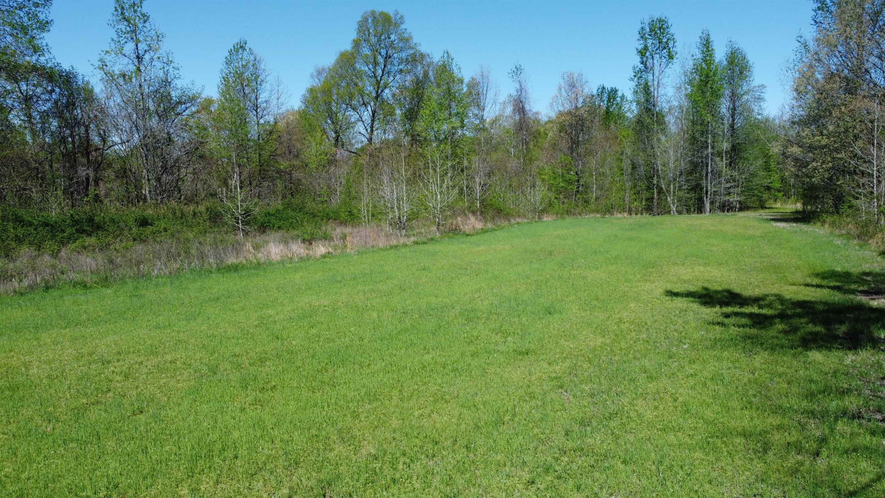 5334 Ira Barker Road Obion, TN 38240 - Photo 57 of 68 a view of a grassy field with trees in the background