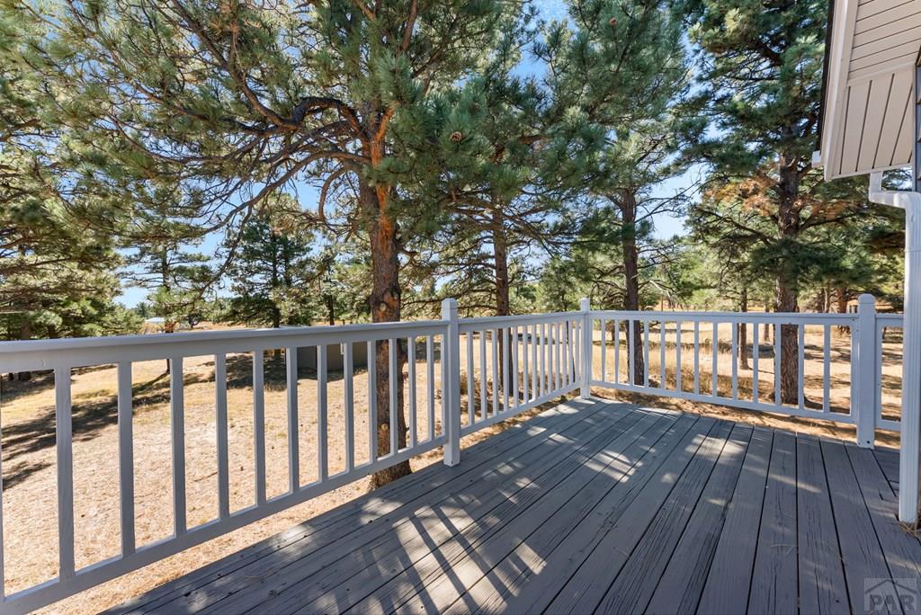 8068 Elna Drive Rye, CO 81069 - Photo 44 of 69