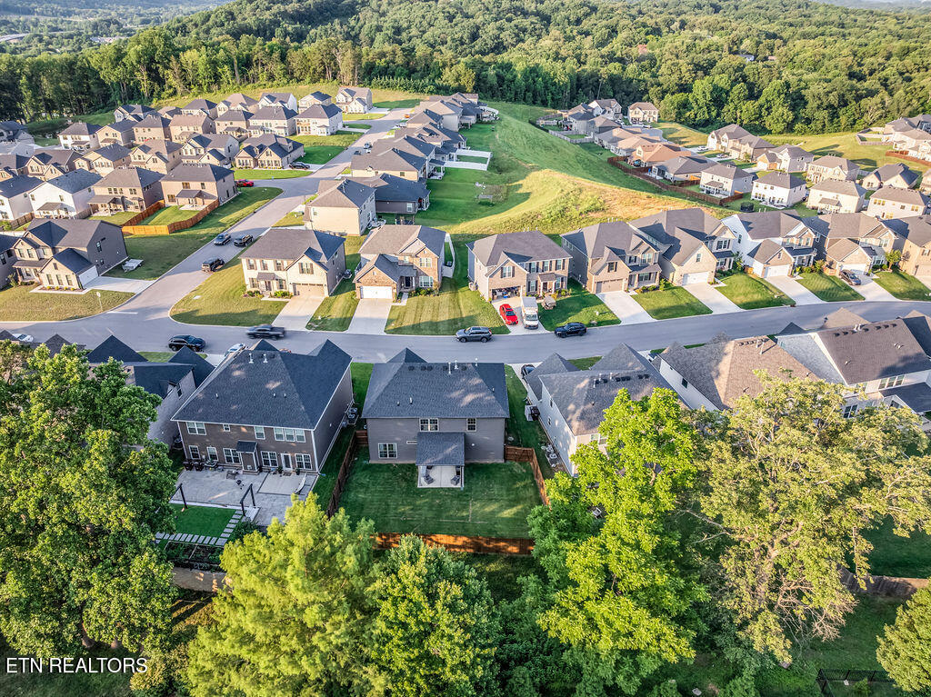 8708 Yellow Aster Road Knoxville, TN 37931 - Photo 47 of 52 DJI_20260624185517_0528_D