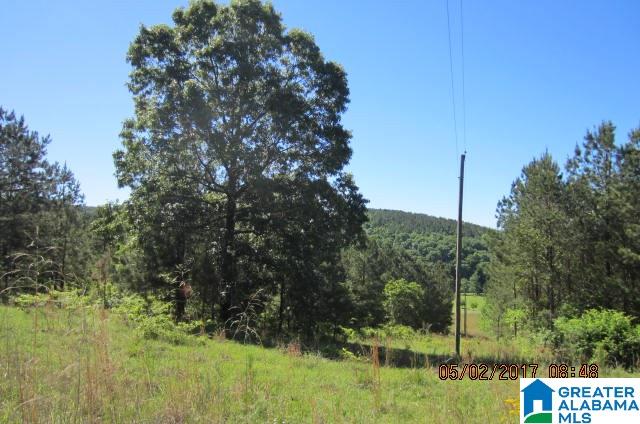 82-acres Creed Road, Unit 82 ACRES Lineville, AL 36266 - Photo 10 of 20