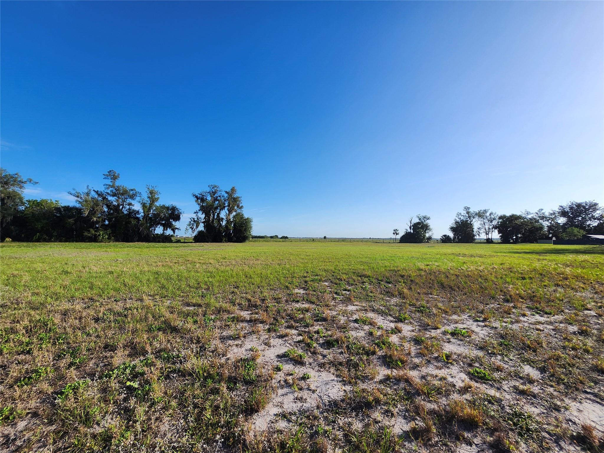 7933 Castile Road Sebring, FL 33876 - Photo 3 of 8 a view of yard with green space