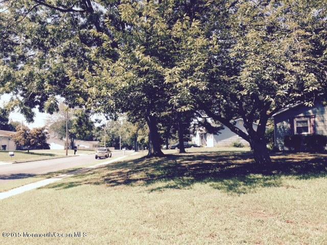 front yard