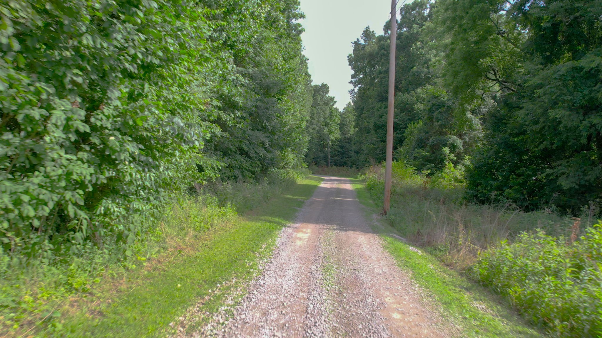 3398 Poplar Hill Road Watertown, TN 37184 - Photo 59 of 62