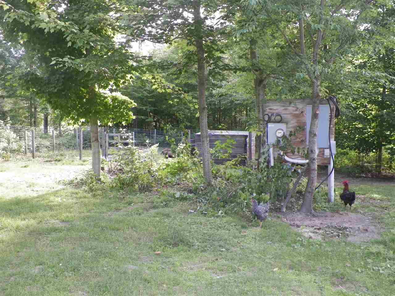 23678 13 Mile Road Leroy, MI 49655 - Photo 22 of 41 1863862-21.JPG