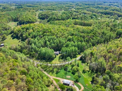 a view of a lush green forest with and trees