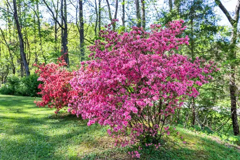 $595,000 | 2890 Winchester Highway, Lynchburg, TN 37352