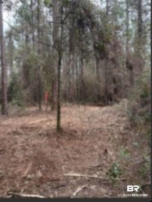 0 Roberts Chapel Road Mobile, AL 36608 - Photo 7 of 9