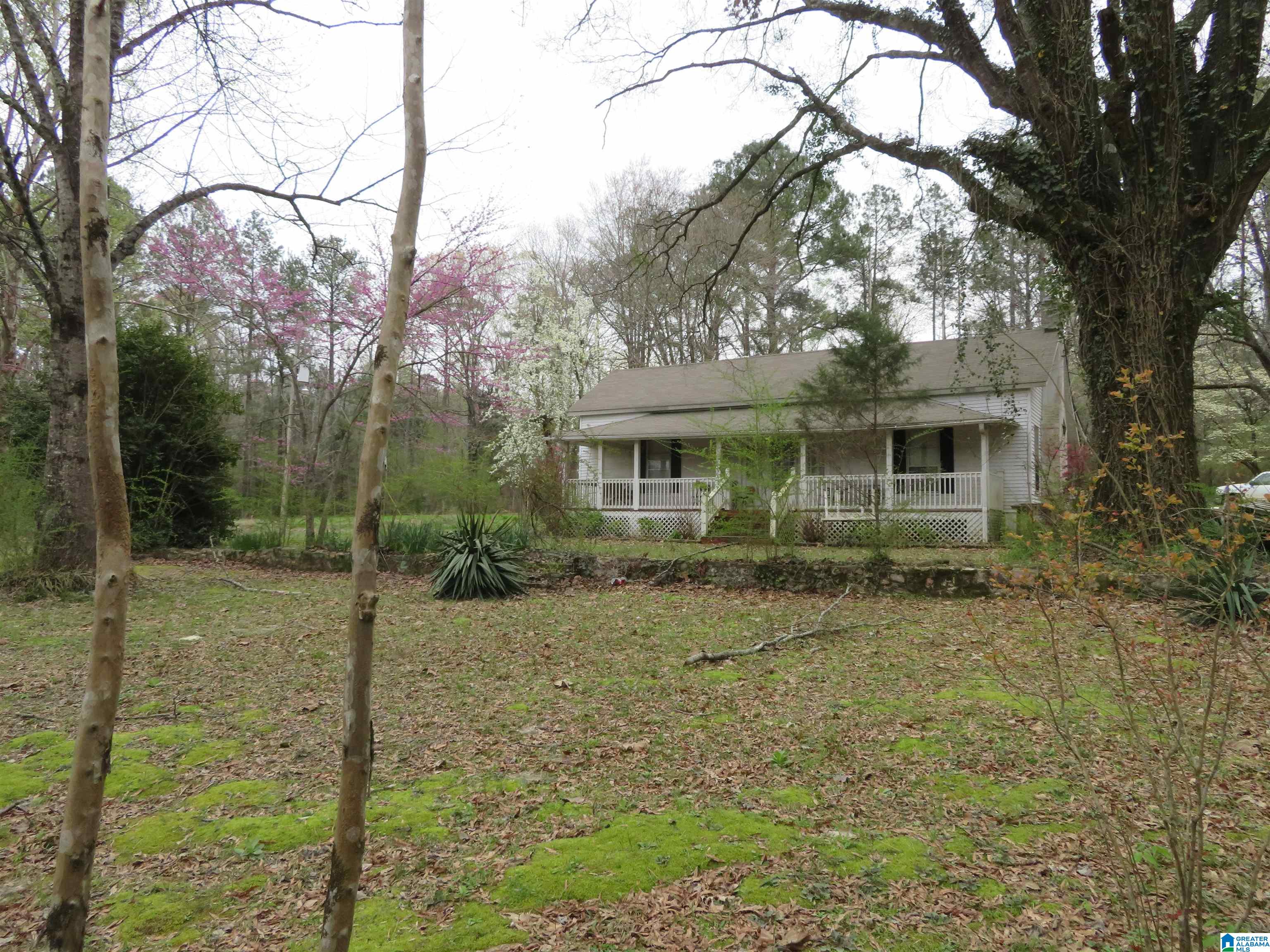 4100 Montevallo Road Centreville, AL 35042 - Photo 1 of 24