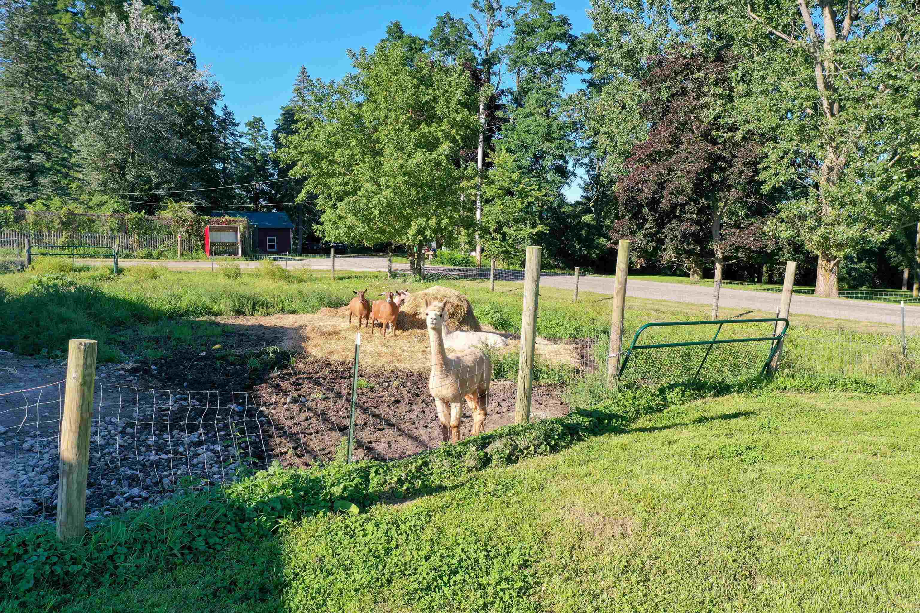 155 Burnham Road Waltham, VT 05491 - Photo 12 of 26