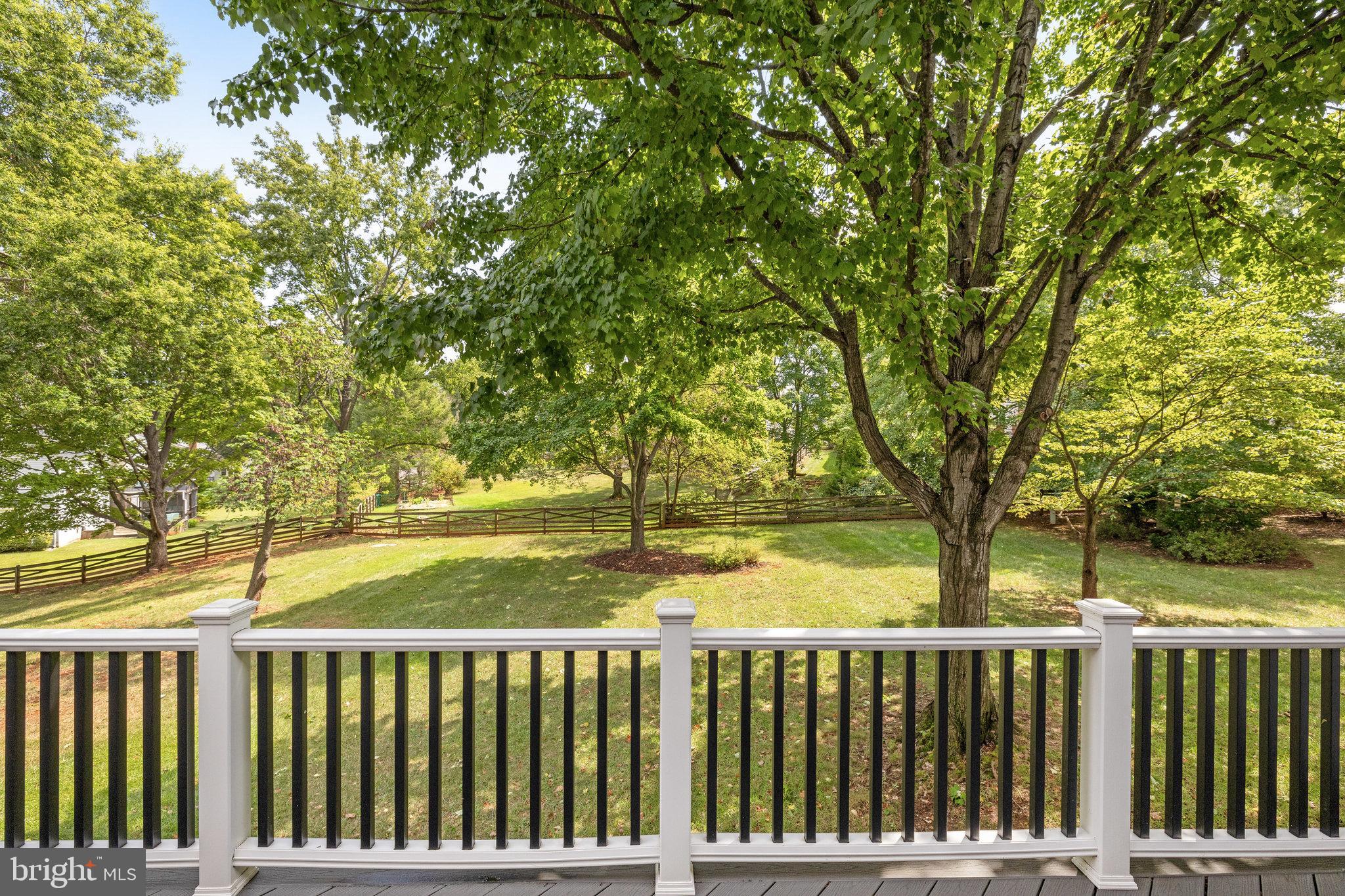 128 Minor Road Sterling, VA 20165 - Photo 44 of 62 This yard is where memories are made