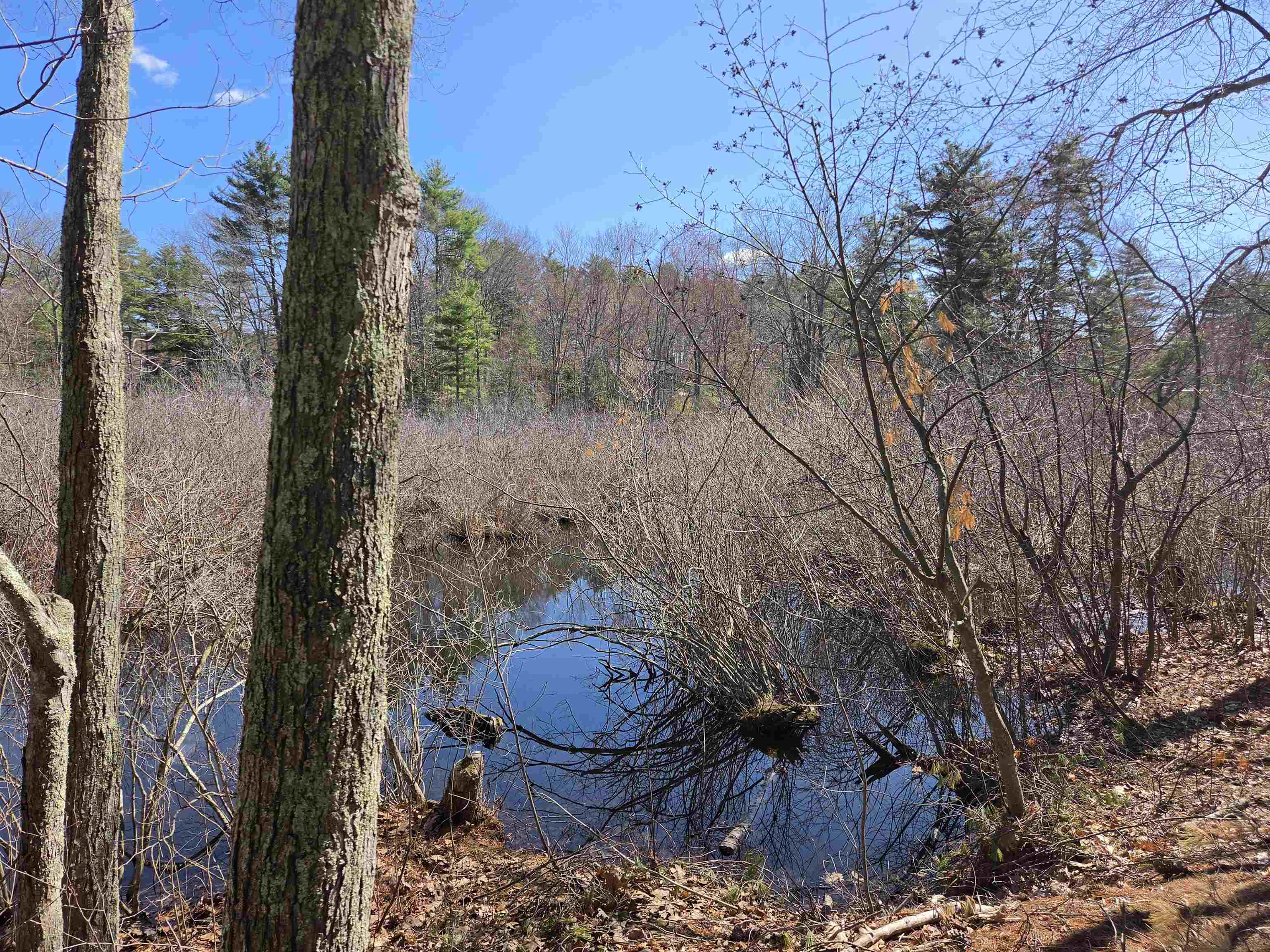 22 Tokanel Road Windham, NH 03087 - Photo 23 of 24