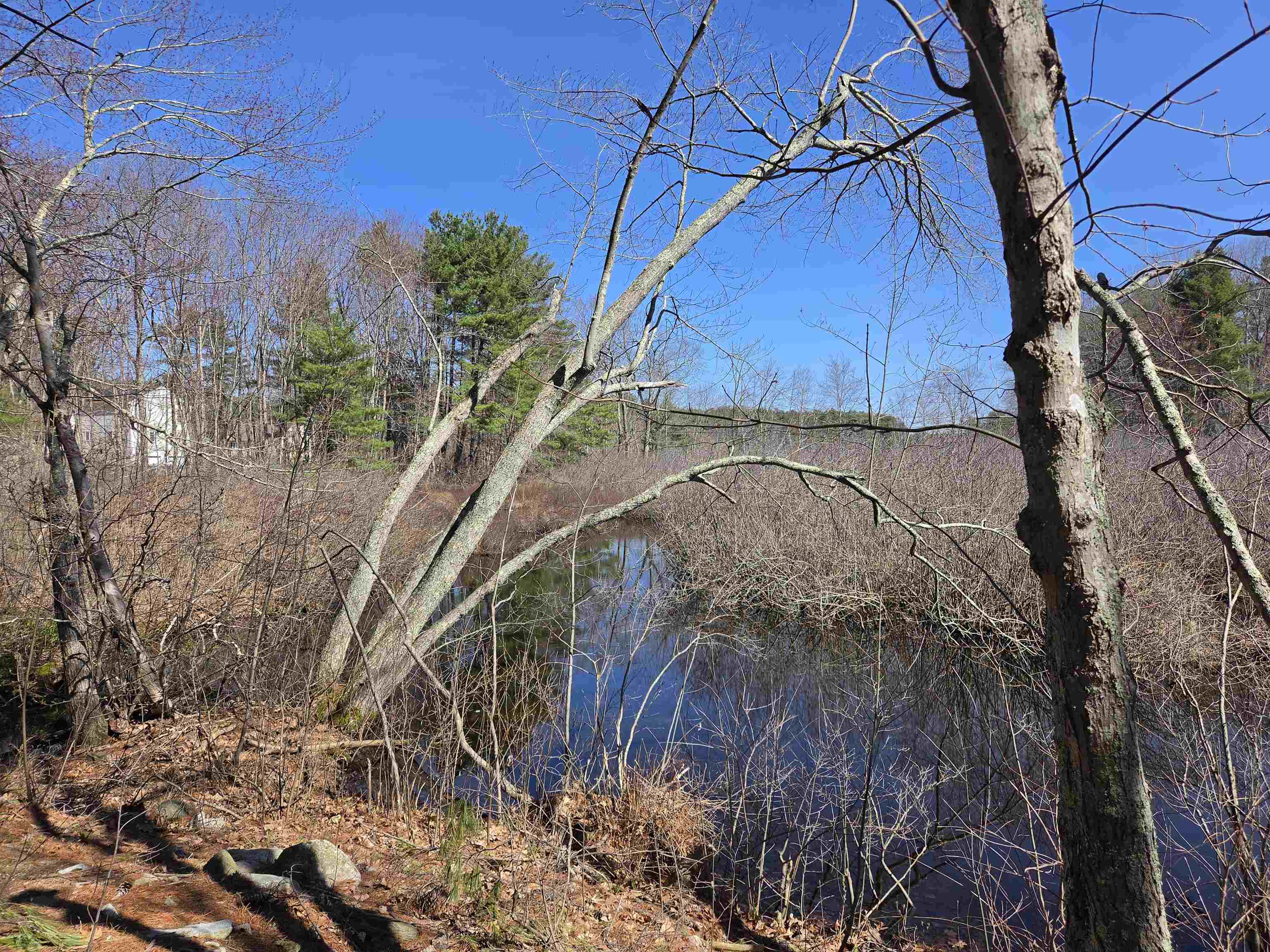 22 Tokanel Road Windham, NH 03087 - Photo 24 of 24