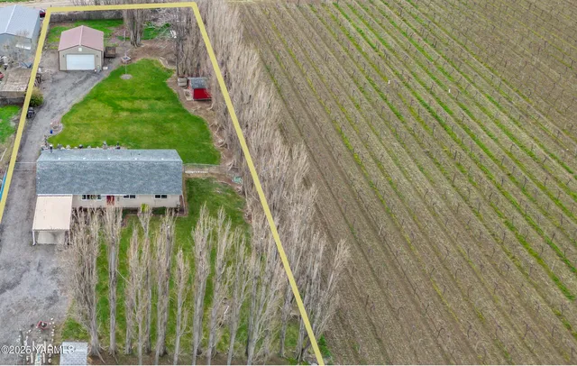 a bird view of a garden