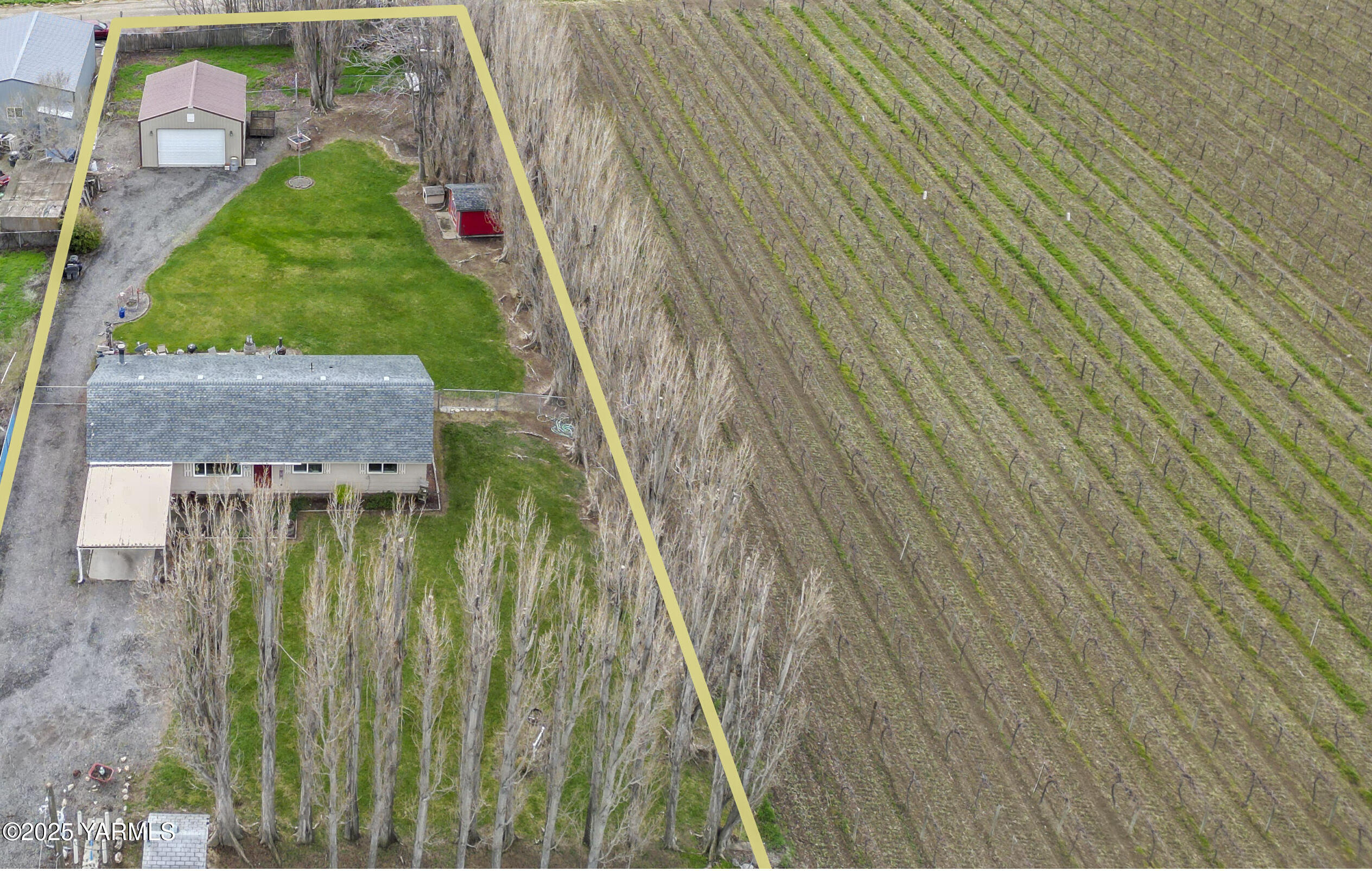 a bird view of a garden