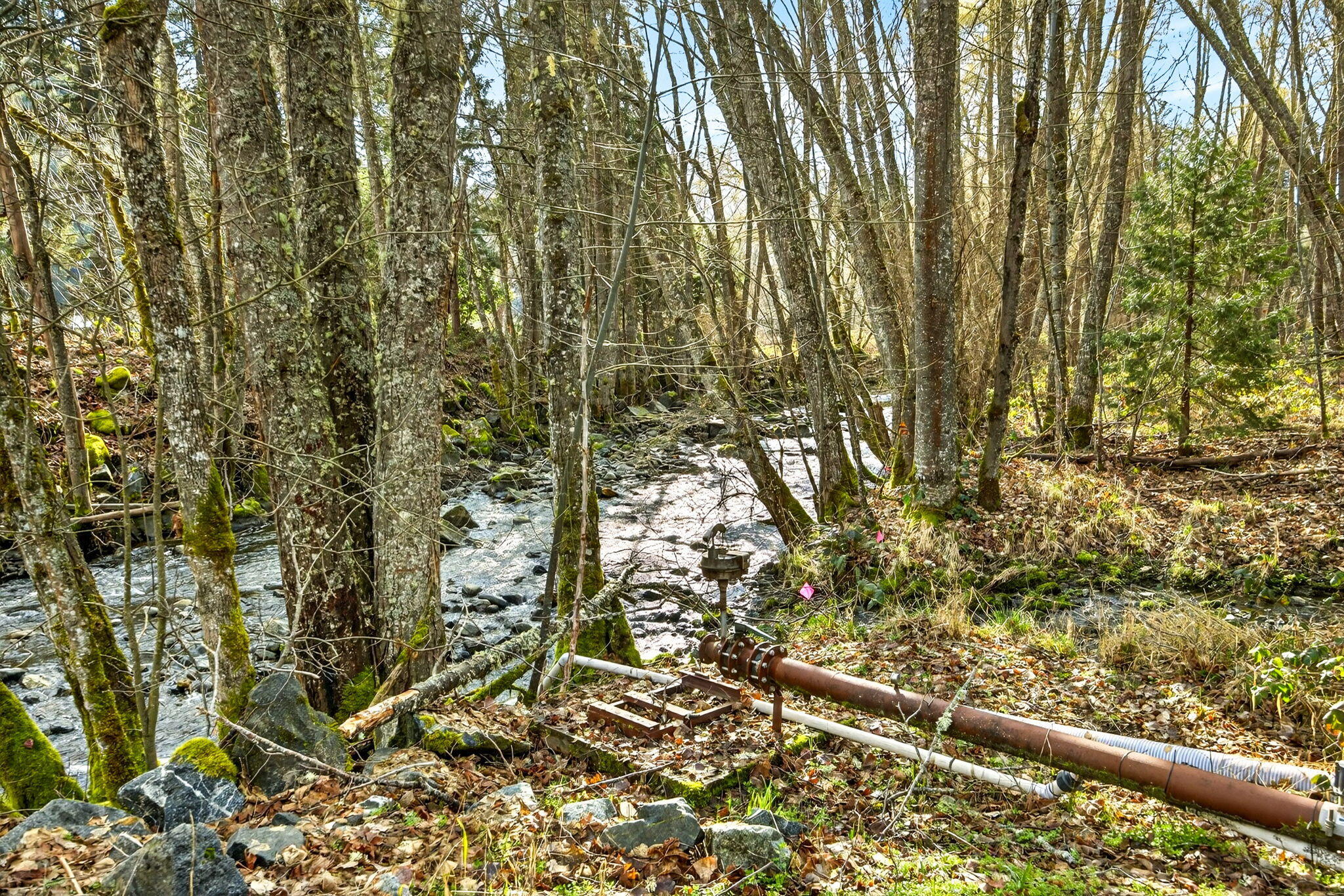 320 Caves Camp Road Williams, OR 97544 - Photo 75 of 101 ApxCCR00089
