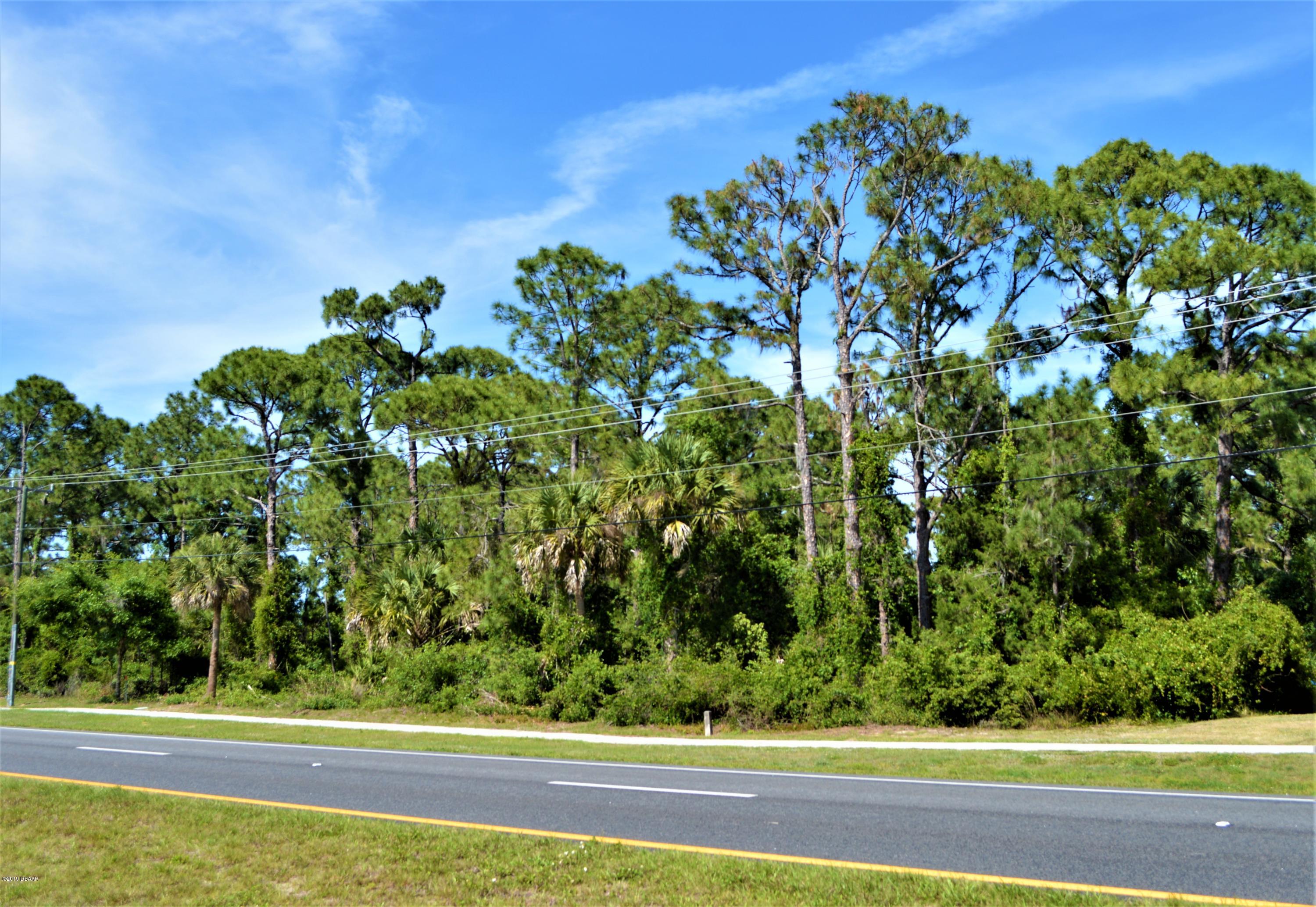 3675-3685 South Ridgewood Avenue Edgewater, FL 32141 - Photo 5 of 8 DSC_1009