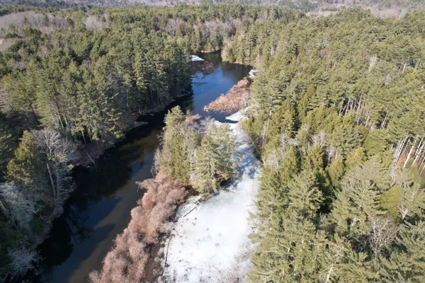 a view of a forest with a forest