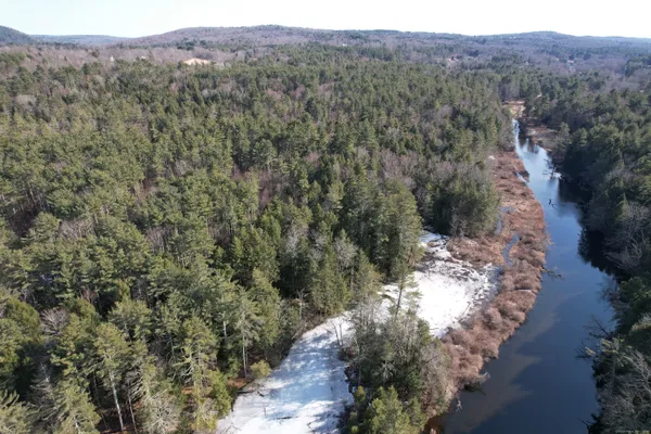 a view of a lush green forest with lush green forest