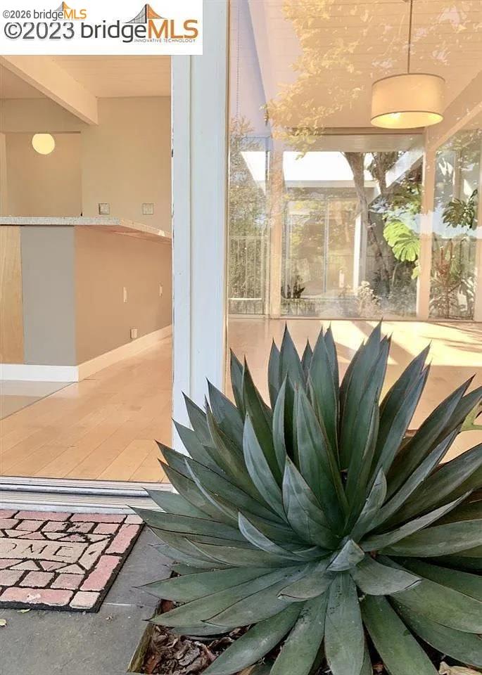 5559 Greenridge Road Castro Valley, CA 94552 - Photo 28 of 33 Exterior space