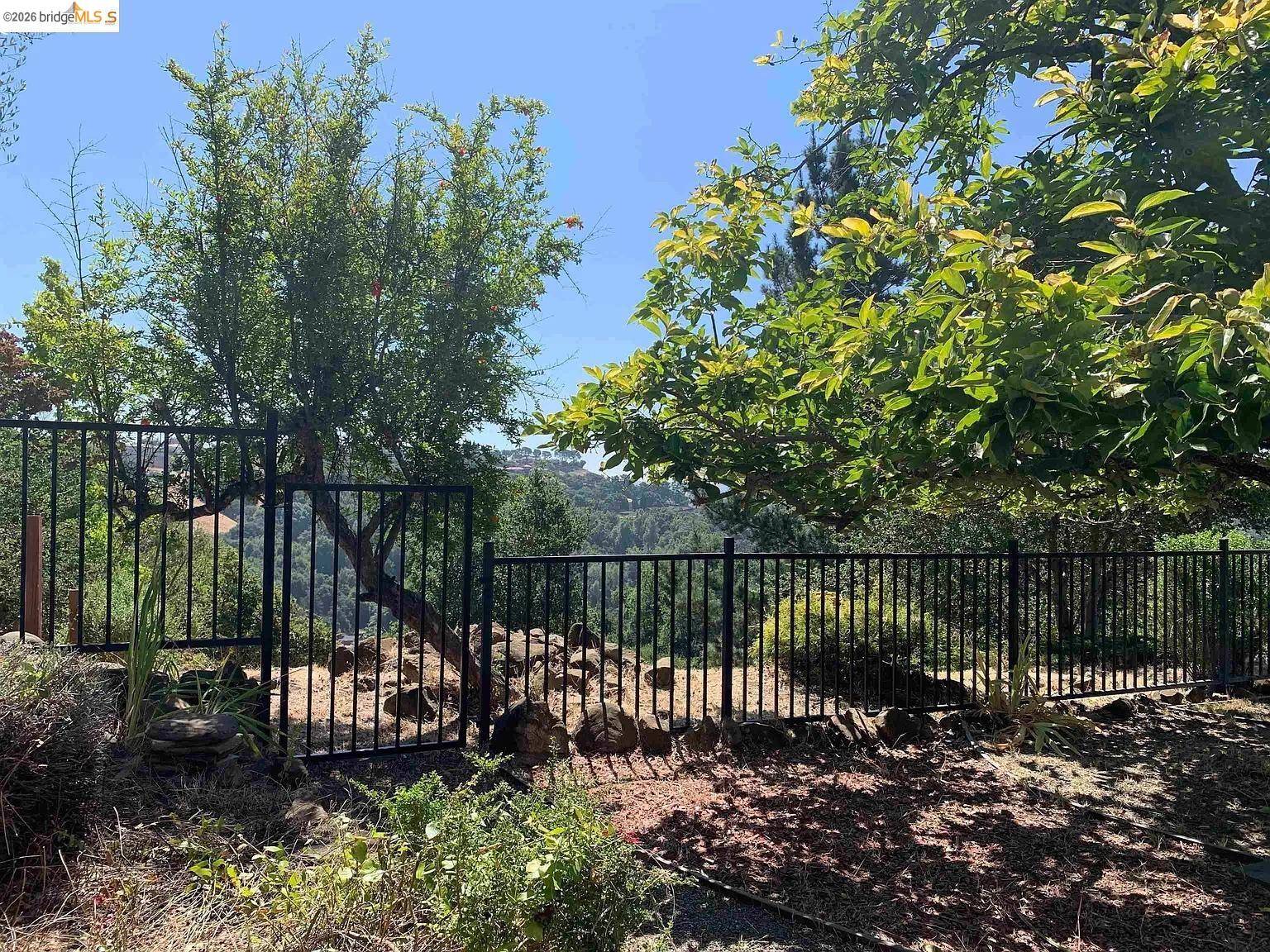 5559 Greenridge Road Castro Valley, CA 94552 - Photo 30 of 33 View of yard