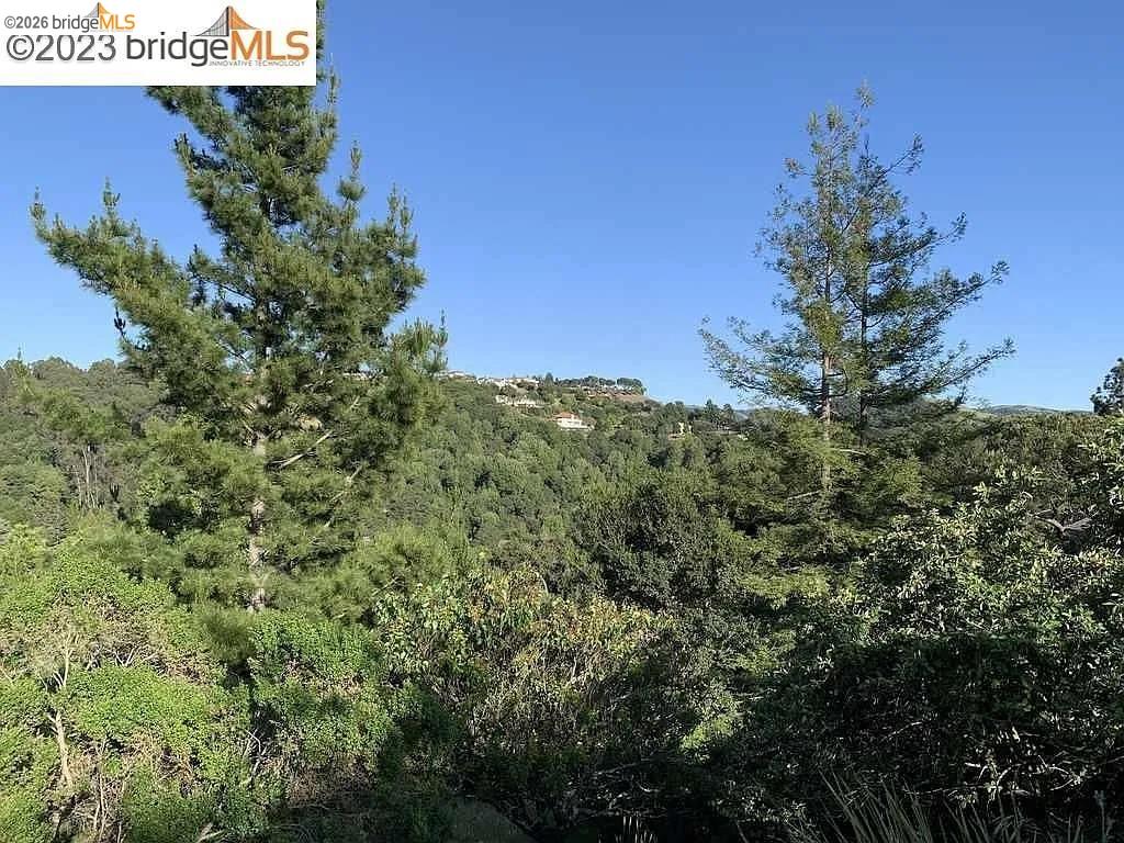 5559 Greenridge Road Castro Valley, CA 94552 - Photo 33 of 33 View of woods