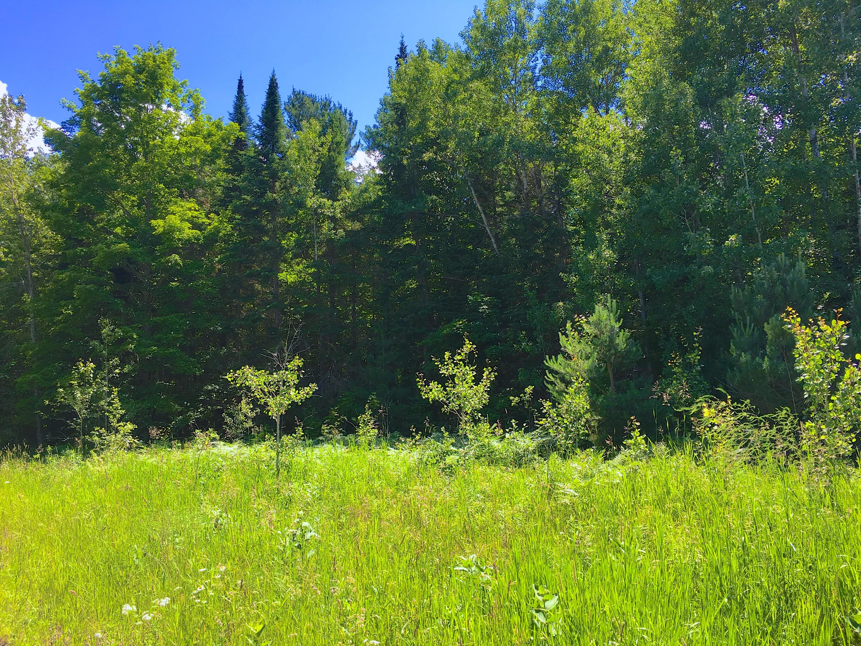 North Old Mackinaw Road Cheboygan, MI 49721 - Photo 6 of 12