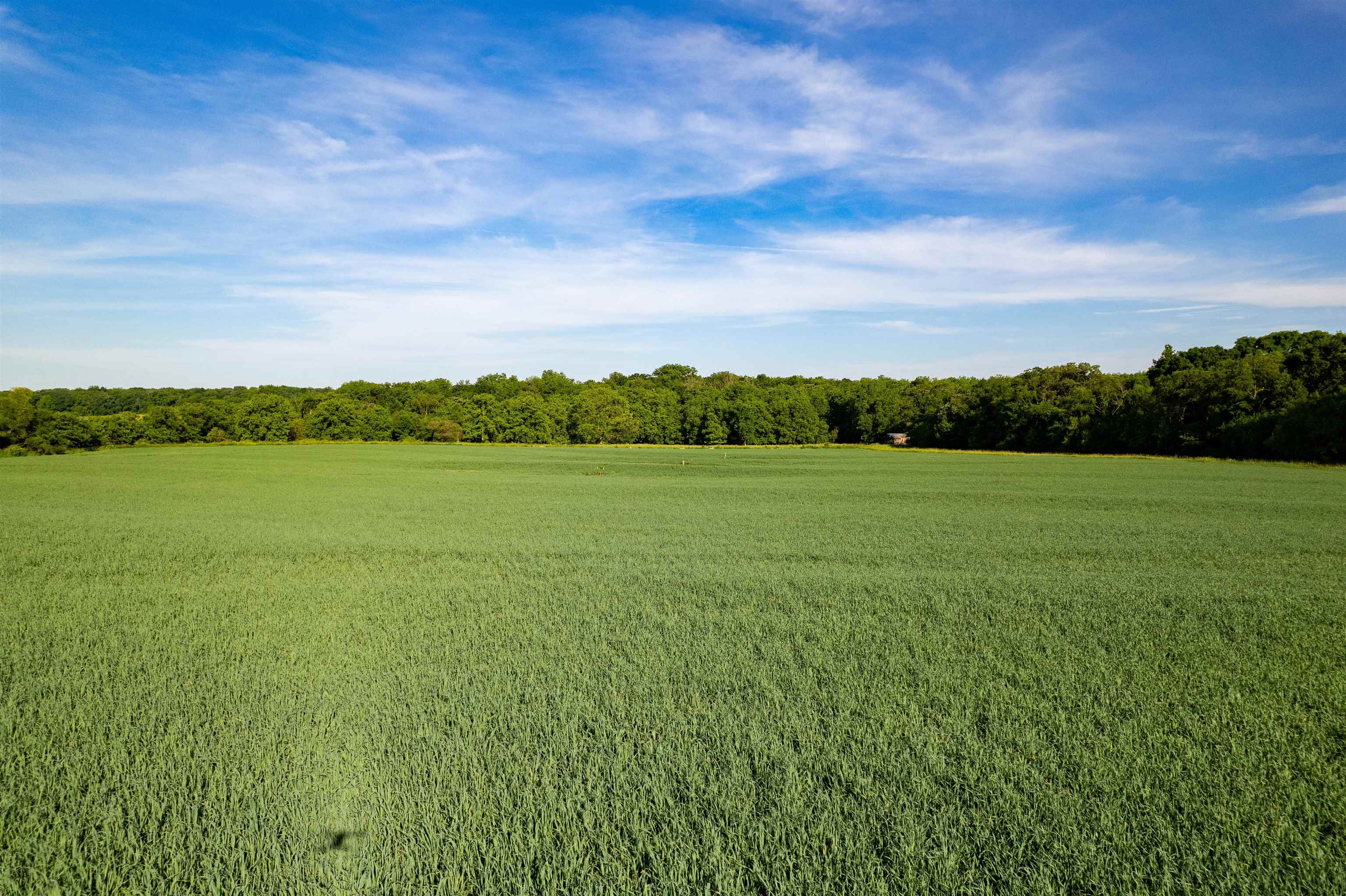 0 South Stone Hill Road Chana, IL 61015 - Photo 18 of 37