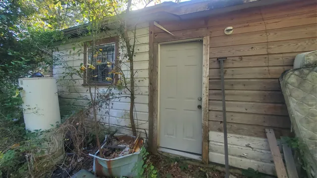 a view of a yard with plants and large trees