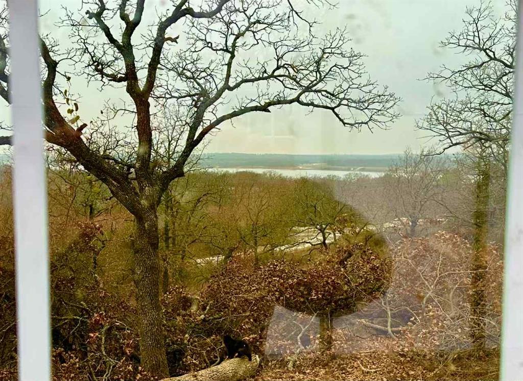 347 Pine Road Nocona, TX 76255 - Photo 13 of 21 a view of lake with a tree