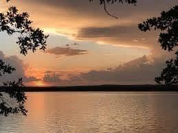 347 Pine Road Nocona, TX 76255 - Photo 17 of 21 a view of an ocean