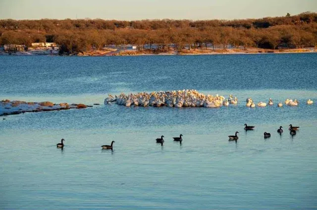 $29,900 | 347 Pine Road, Nocona, TX 76255