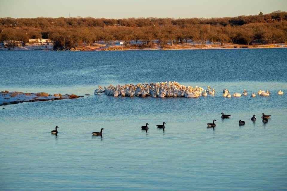 347 Pine Road Nocona, TX 76255 - Photo 19 of 21 an aerial view of a house with a lake view