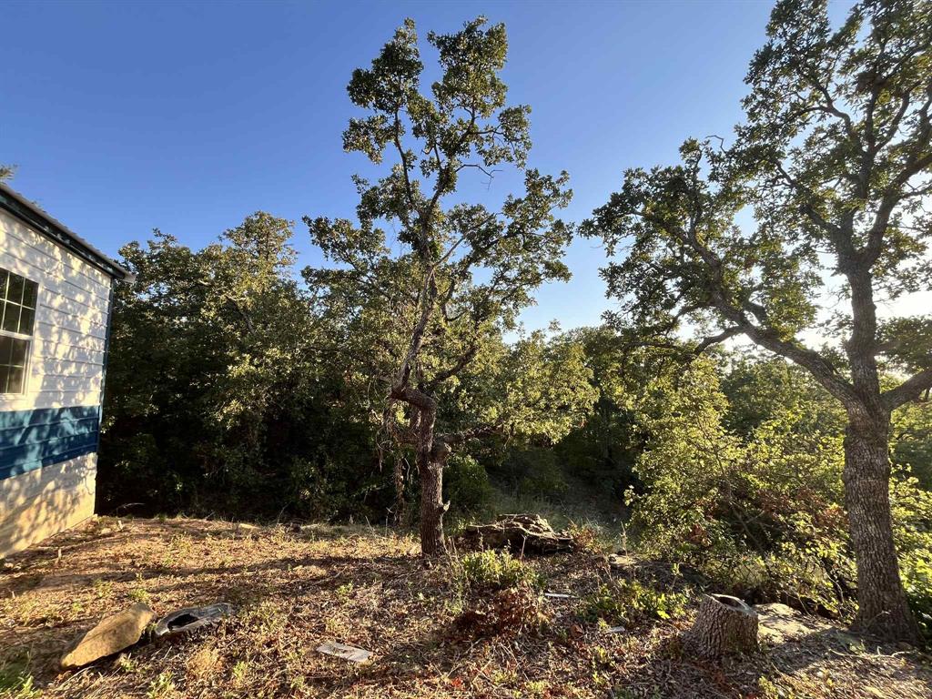 347 Pine Road Nocona, TX 76255 - Photo 8 of 21 a view of a yard