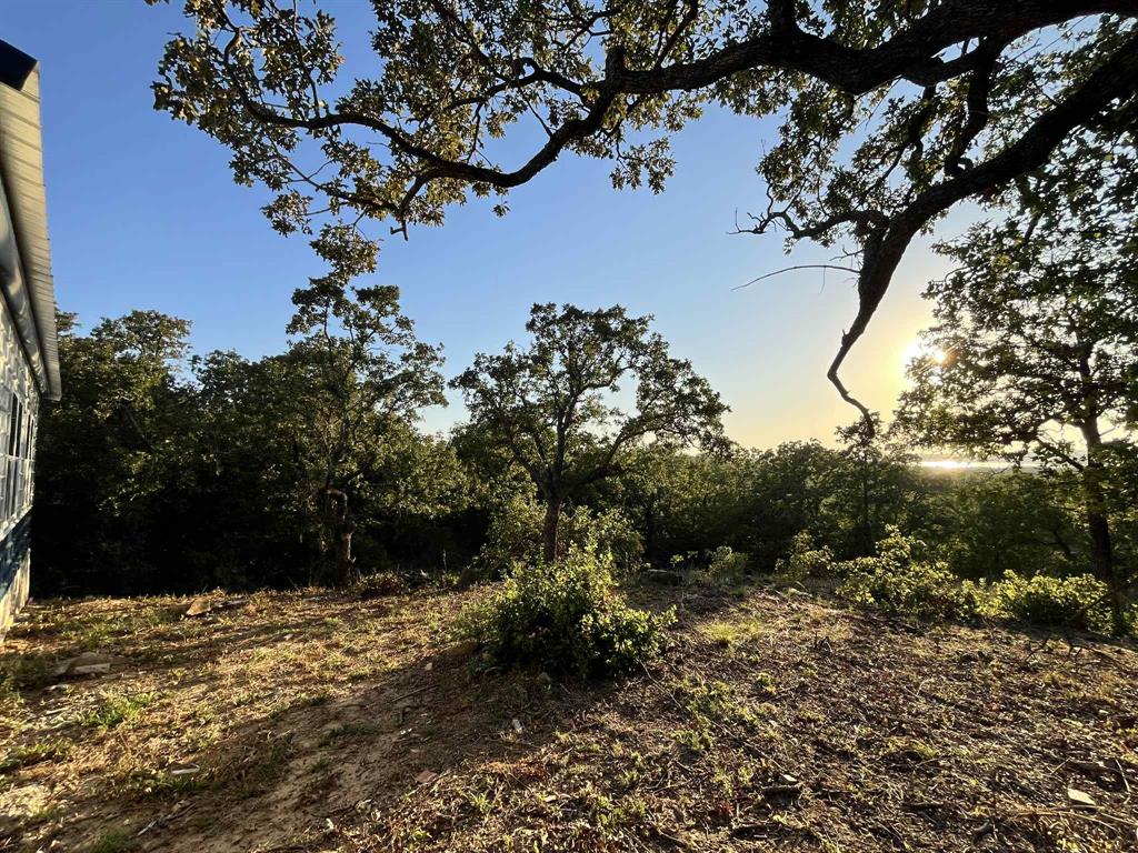 347 Pine Road Nocona, TX 76255 - Photo 9 of 21 a view of a tree in a yard