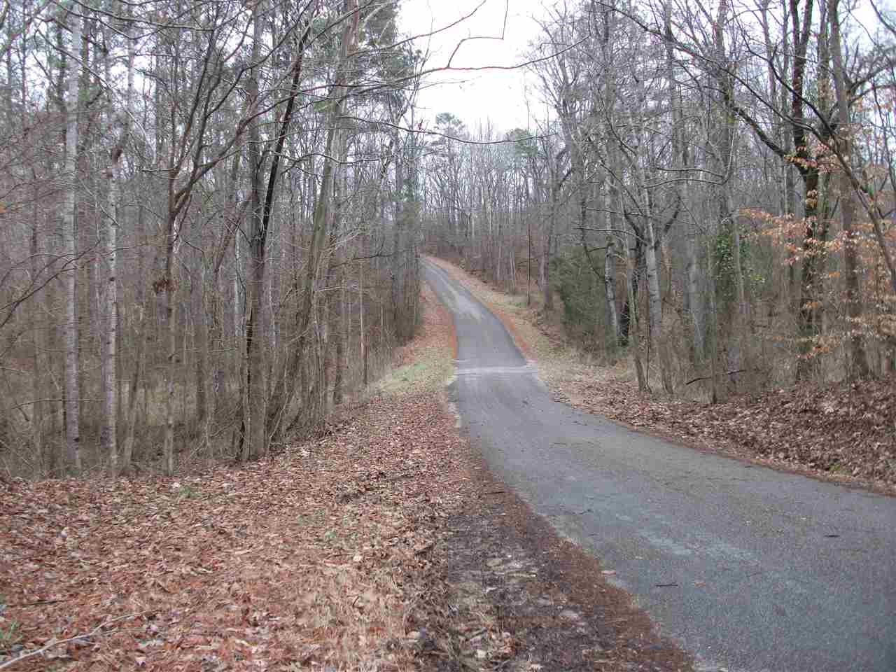 Lot 13 Rainbow Lane Counce, TN 38326 - Photo 3 of 7 a view of a dry yard with trees
