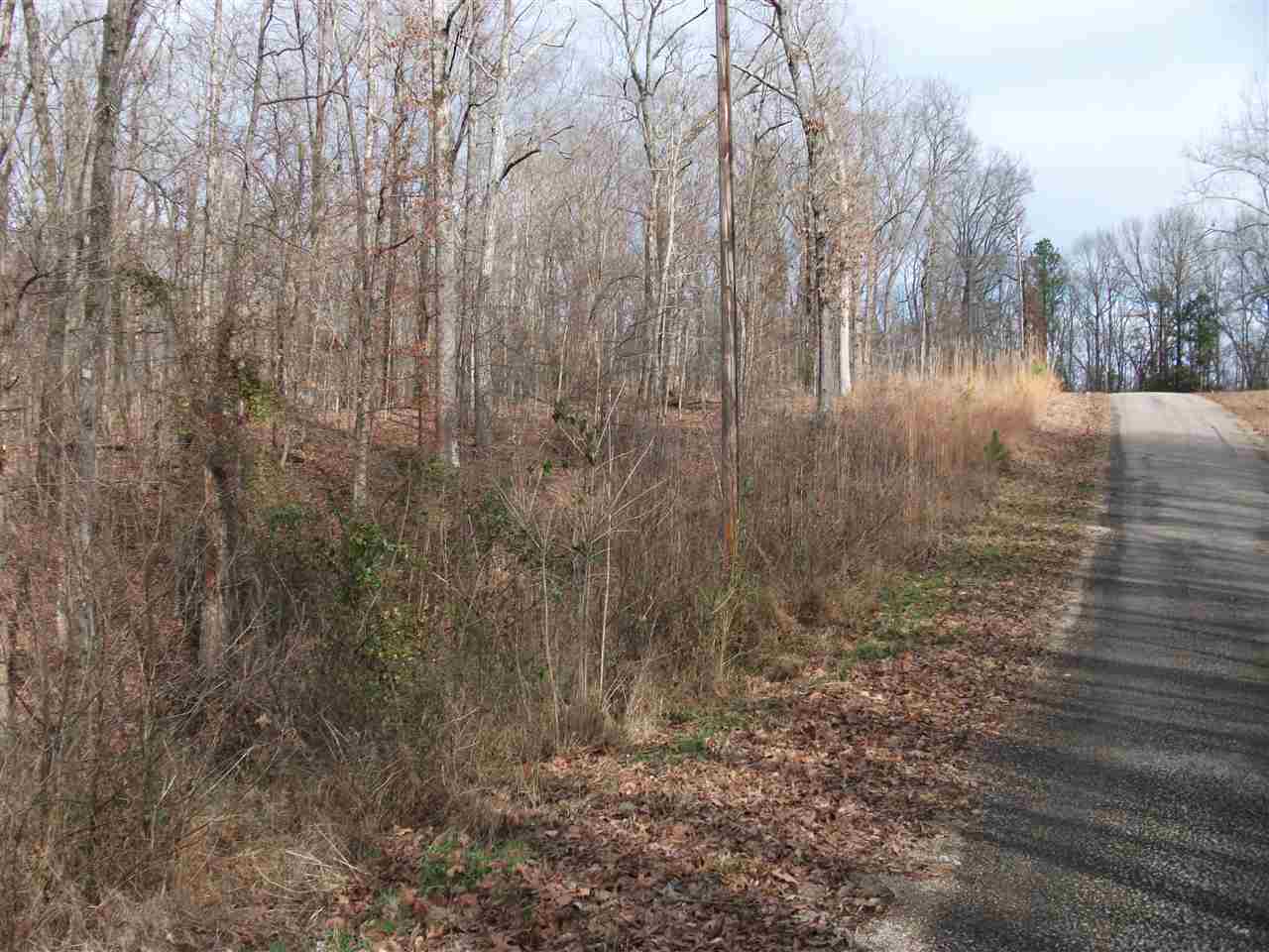 Lot 13 Rainbow Lane Counce, TN 38326 - Photo 5 of 7 a view of a yard