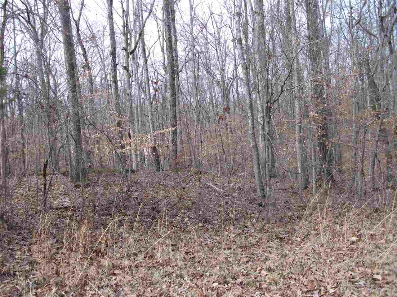 Lot 13 Rainbow Lane Counce, TN 38326 - Photo 6 of 7 a view of a yard with large trees