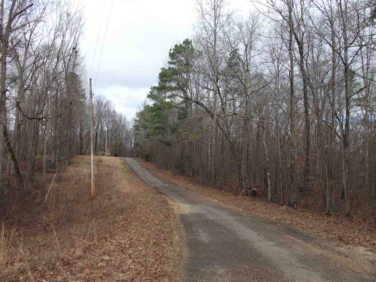 Lot 13 Rainbow Lane Counce, TN 38326 - Photo 7 of 7 a view of a backyard