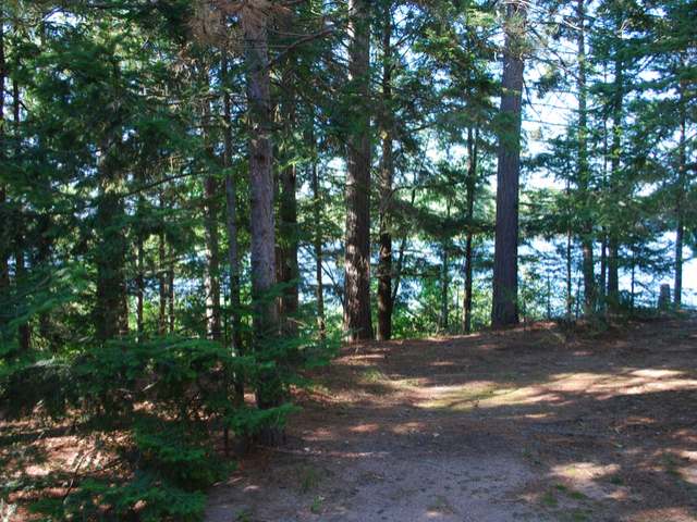 6389 Swallow Road Lake Tomahawk, WI 54539 - Photo 17 of 19 Gallery Image 17