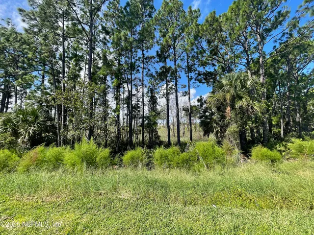 $424,990 | 43 Perseus Avenue, Flagler Beach, FL 32136