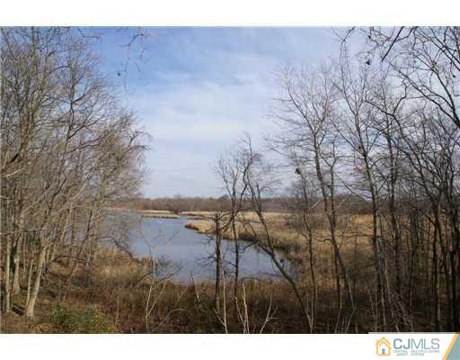 495 Harding Road Old Bridge, NJ 08879 - Photo 10 of 11 a view of lake and mountain