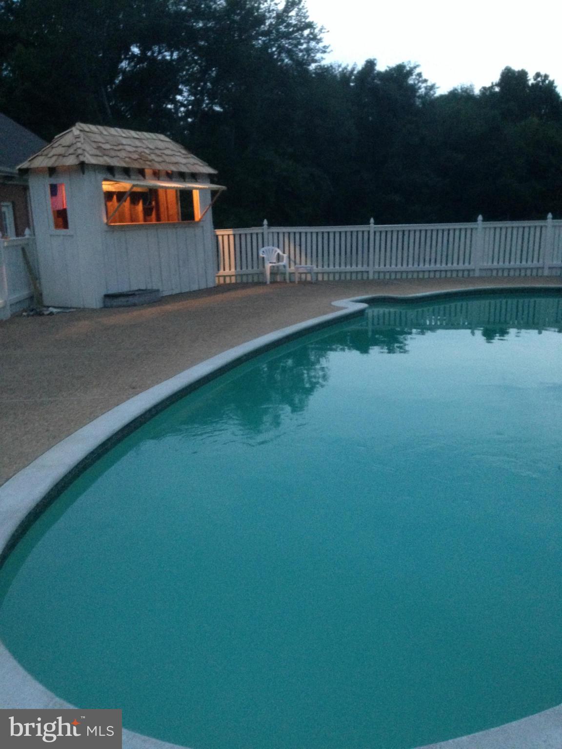 10654 Gunston Road Lorton, VA 22079 - Photo 22 of 23 swimming pool and Tiki Bar
