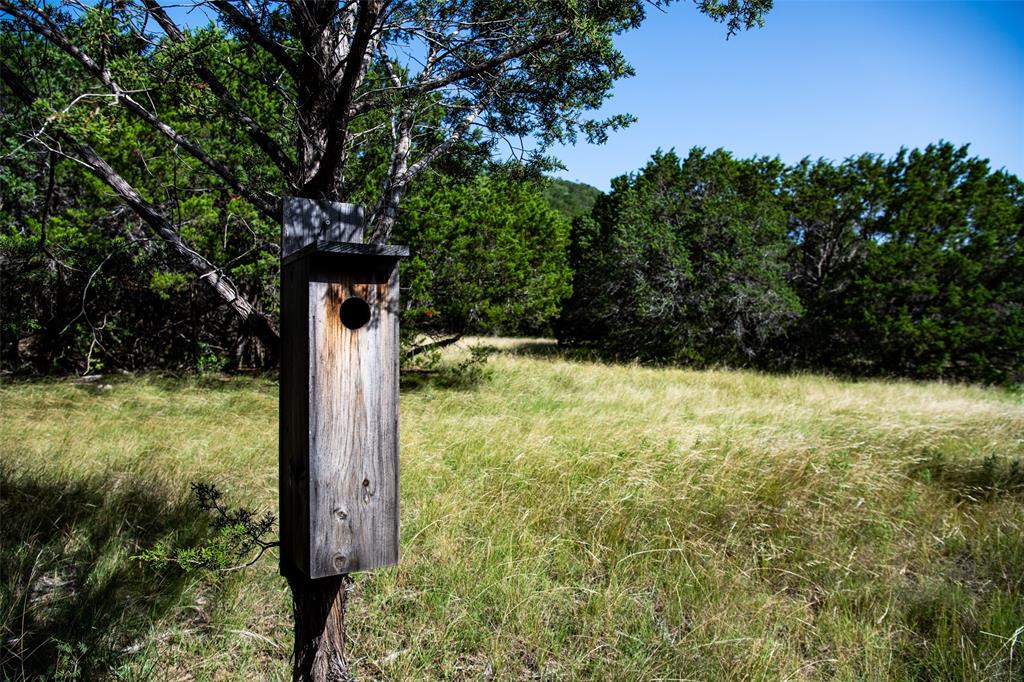 235 Big Bear Loop Strawn, TX 76475 - Photo 12 of 40 a backyard of a house with lots of green space