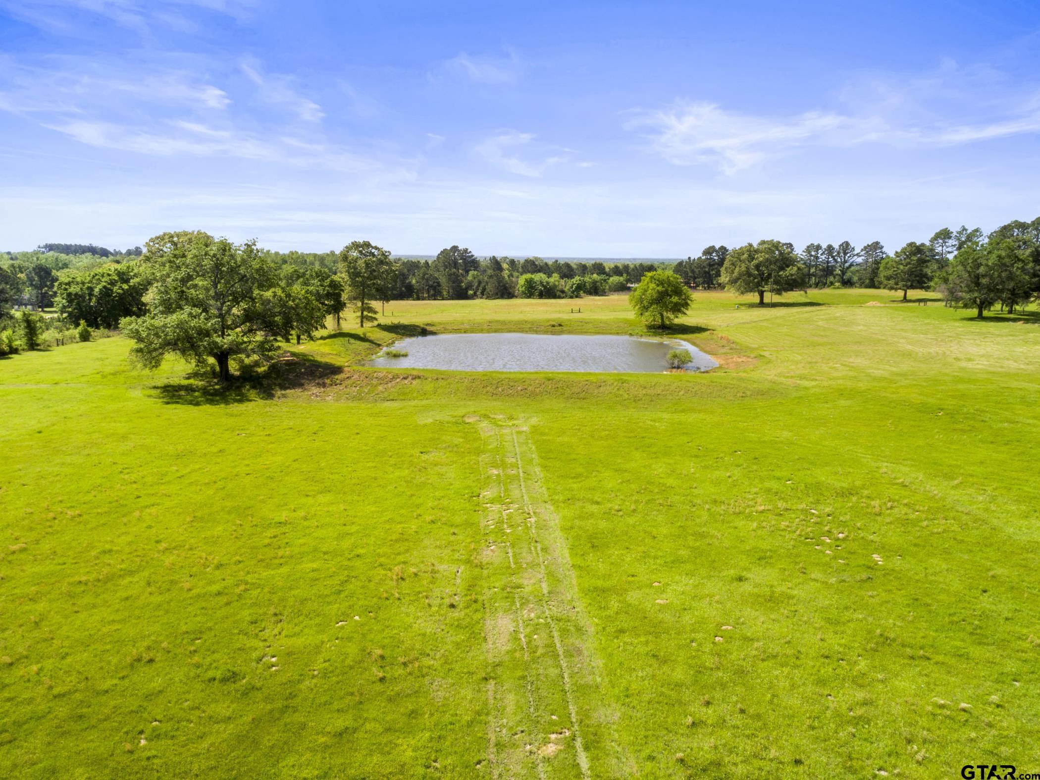 0 Fm 779 Alba, TX 75410 - Photo 3 of 3 a view of an ocean and beach