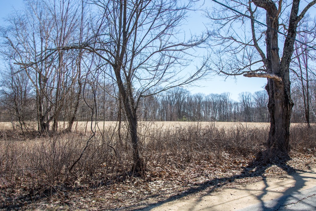 Lot 7 Queen Lake Road Templeton, MA 01468 - Photo 5 of 5 Gallery Image 5