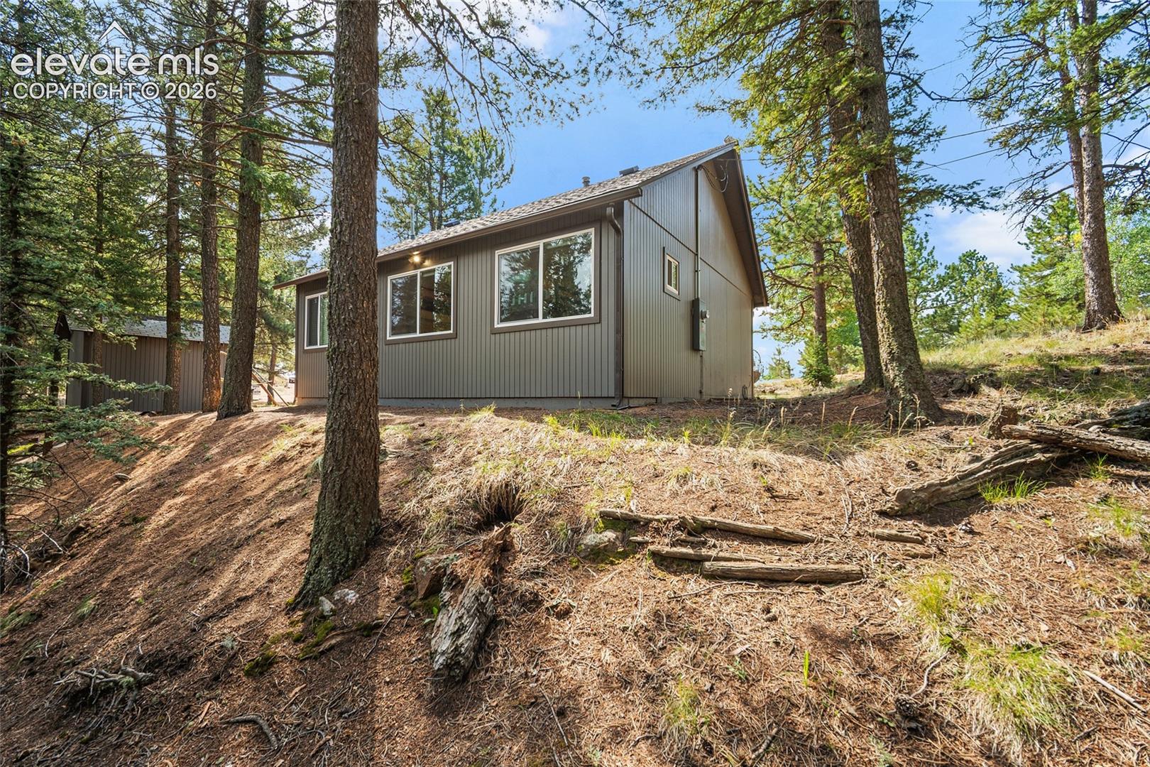 395 Ridge Road Divide, CO 80814 - Photo 19 of 27 Gallery Image 19