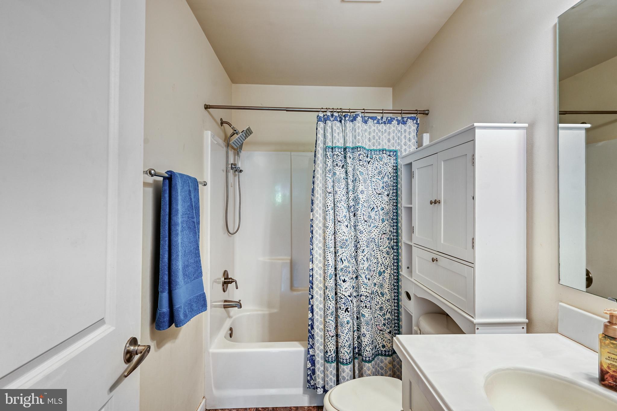 1176 Signboard Road Bumpass, VA 23024 - Photo 39 of 45 Full Bathroom
