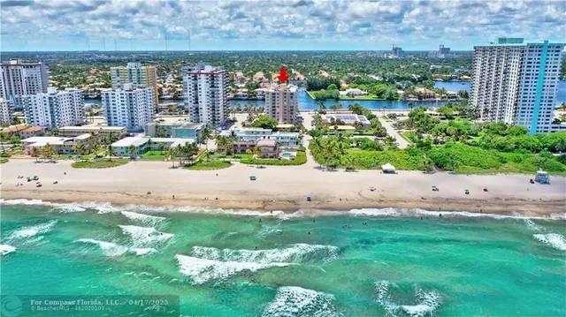 a view of a house with potted plants and a yard