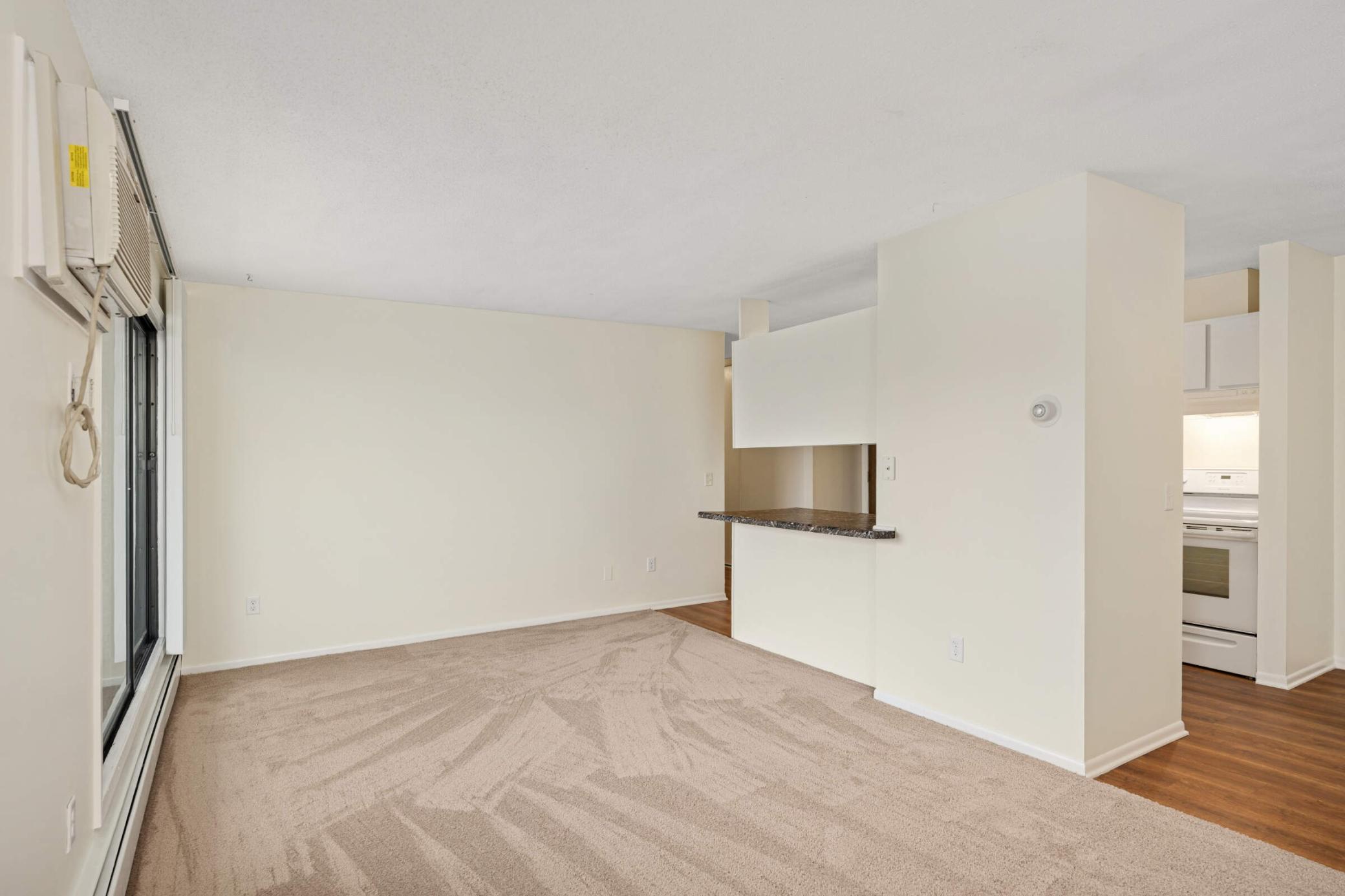 4130 Rahn Road, Unit 310 Eagan, MN 55122 - Photo 8 of 21 Gallery Image 8