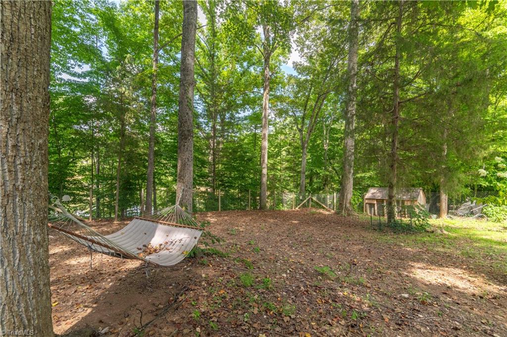 5222 Poplar Ridge Road Trinity, NC 27370 - Photo 41 of 45